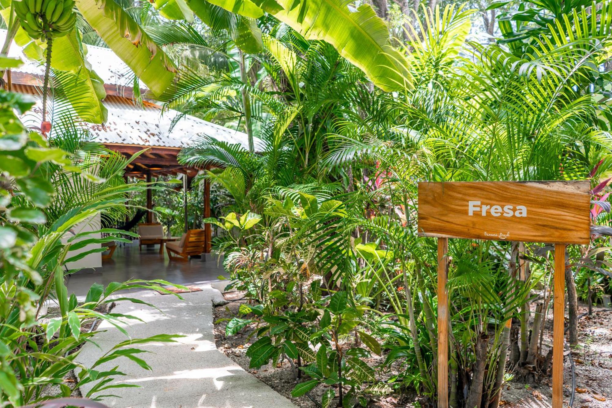 Banana Beach Bungalows Playa Santa Teresa  Екстериор снимка