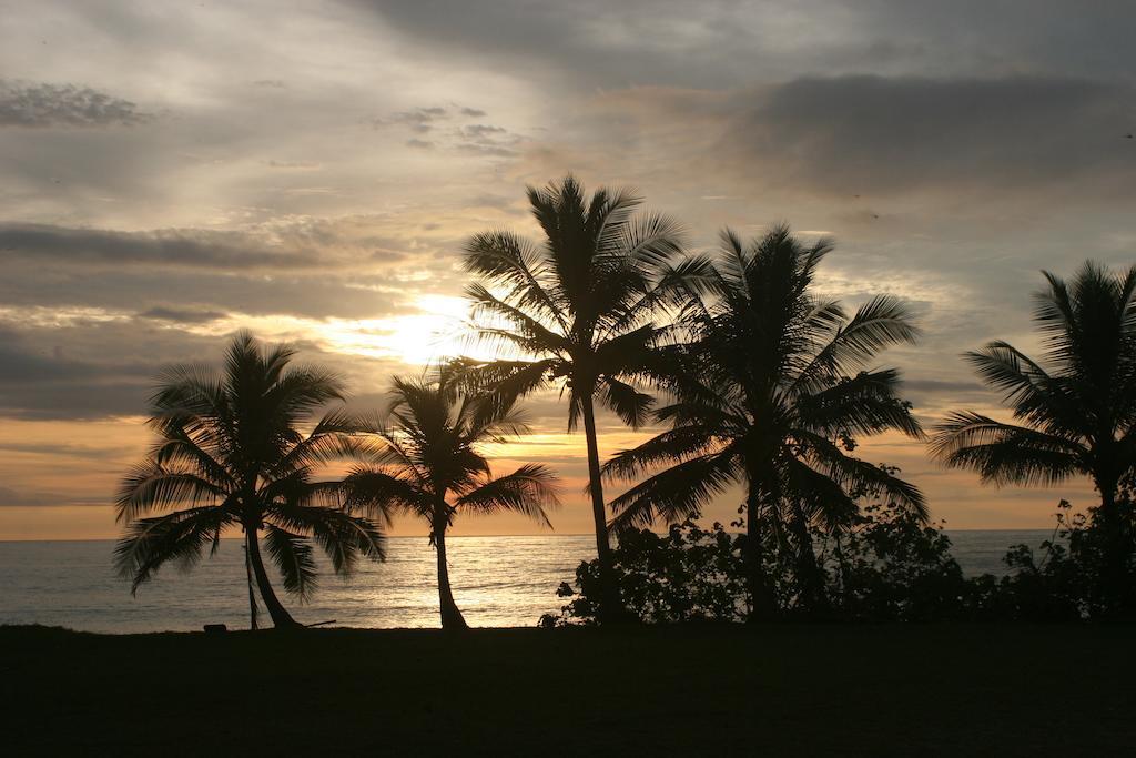 Banana Beach Bungalows Playa Santa Teresa  Екстериор снимка